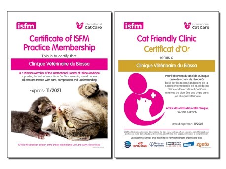 CLINIQUE VETERINAIRE DU BIASSA