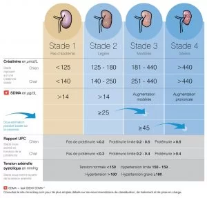 tableau stade irc chat avec SDMA